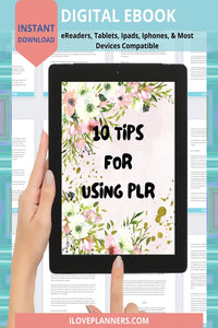 EBOOK- Profit With PLR.  10 Tips How To Use PLR . R17