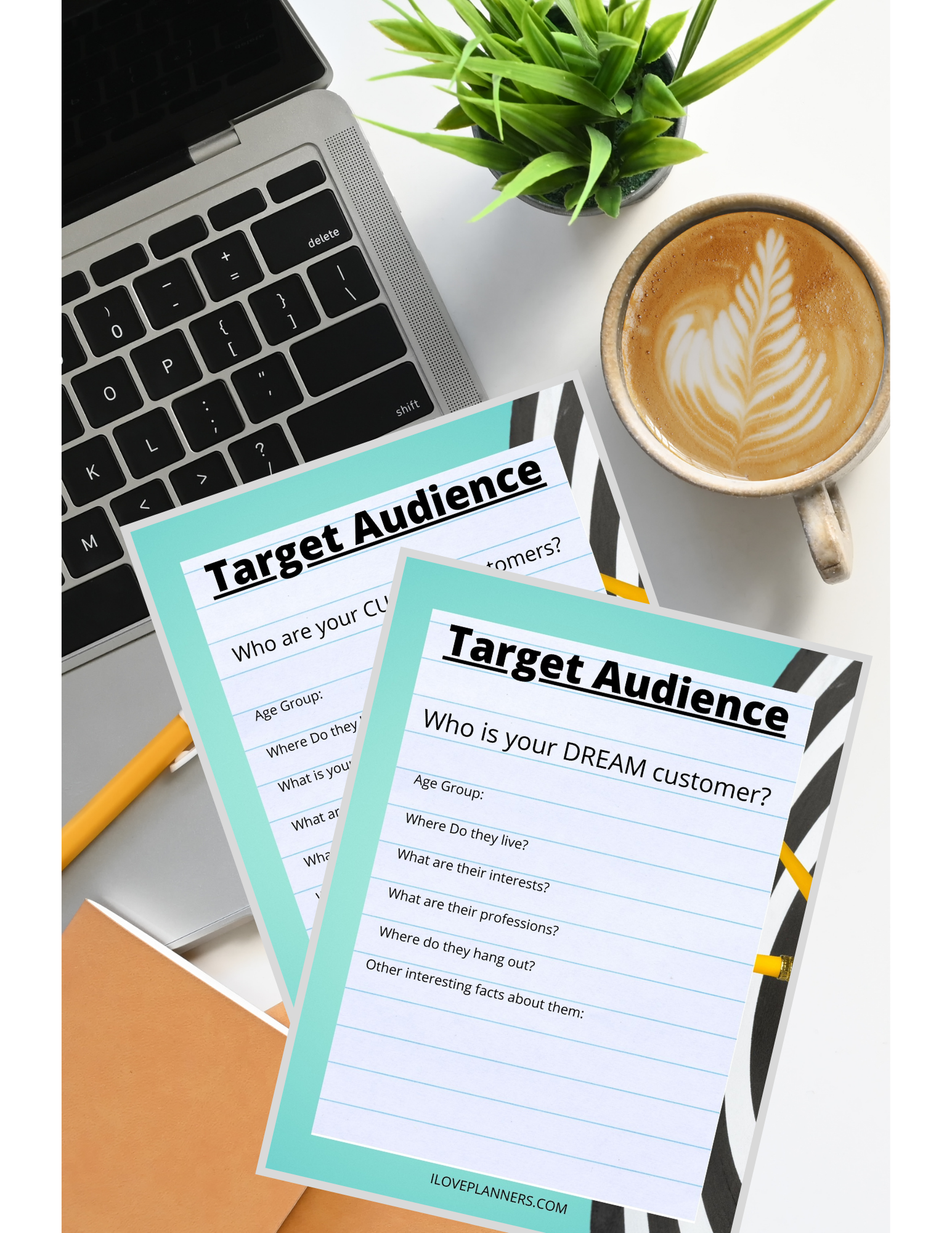 FREEBIE Target Audience Worksheet