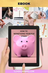 COURSE- HOW TO MONETIZE YOUR PLR STASH