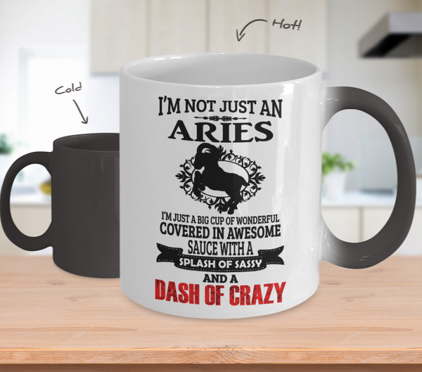 Color Changing Mug Men Theme I'm Not Just An Aries
