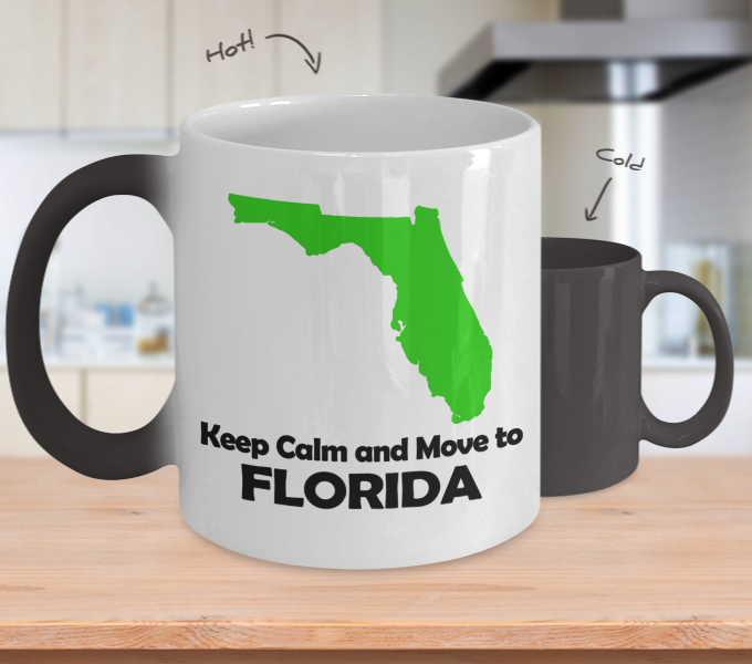 Color Changing Mug Love Where You Live Theme Keep Calm And Move To Florida
