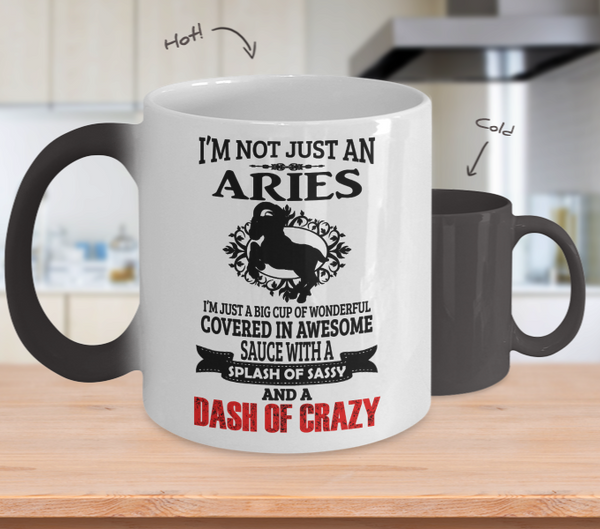 Color Changing Mug Men Theme I'm Not Just An Aries